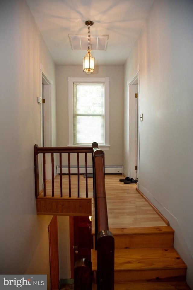 stairway with hardwood / wood-style floors