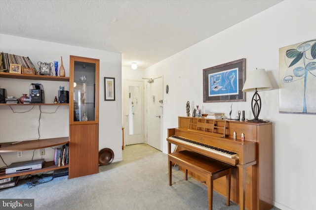 misc room with light colored carpet and a textured ceiling