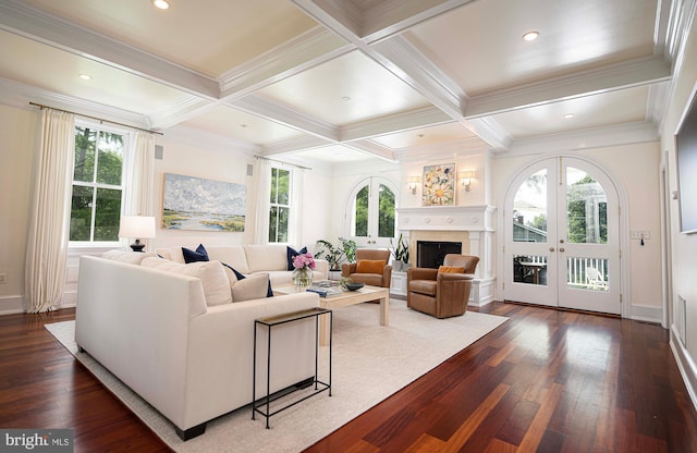 living room with french doors, dark hardwood / wood-style floors, and a wealth of natural light