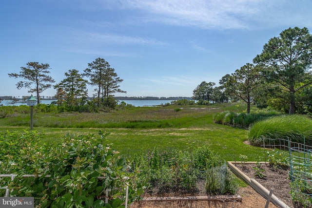 view of yard featuring a water view