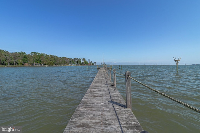 dock area with a water view