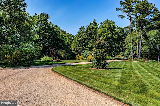 surrounding community featuring a lawn