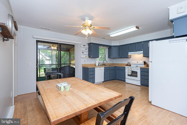 kitchen featuring light wood-type flooring, white appliances, blue cabinets, ceiling fan, and sink