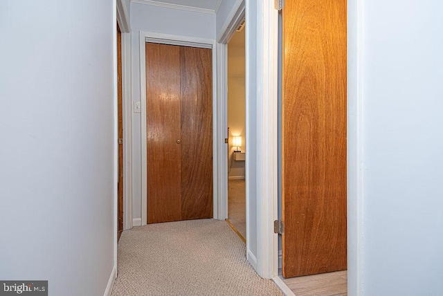 corridor with light colored carpet and ornamental molding