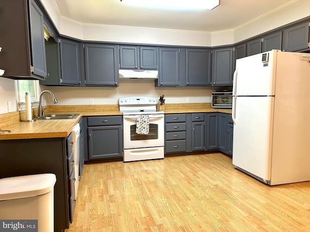 kitchen featuring light wood-type flooring, white appliances, crown molding, sink, and butcher block countertops