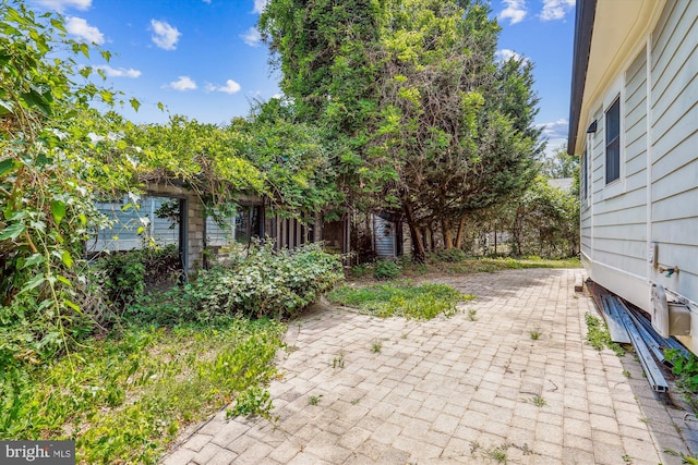 view of yard featuring a patio