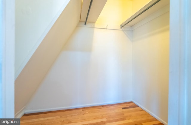 spacious closet featuring wood-type flooring