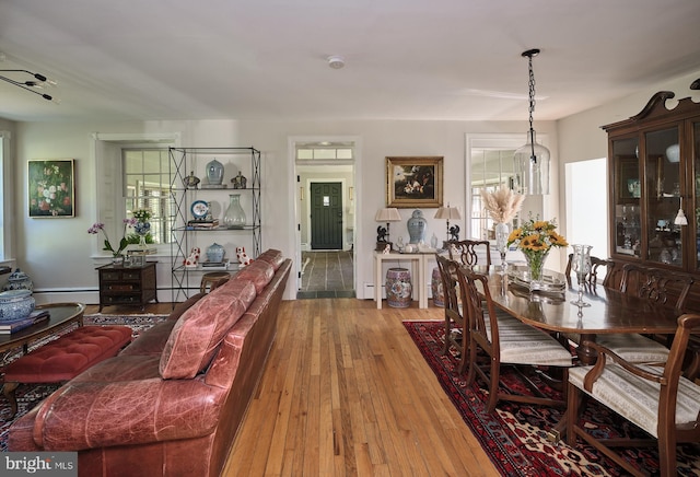 living room featuring hardwood / wood-style flooring and a baseboard radiator