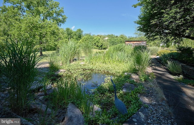 view of landscape featuring a water view