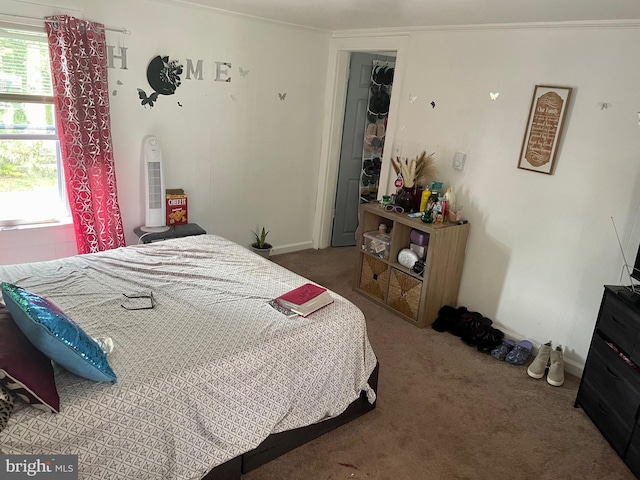 view of carpeted bedroom