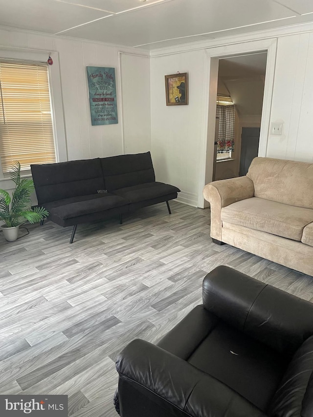 living room featuring light wood-type flooring