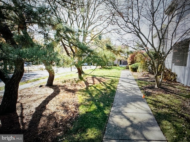 view of community featuring a lawn