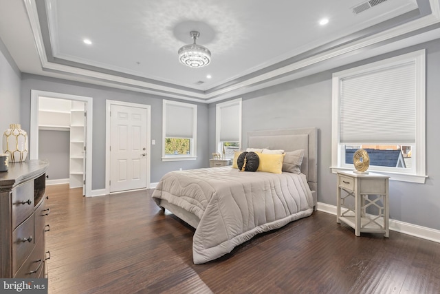 bedroom featuring dark wood-type flooring, a raised ceiling, a walk in closet, a closet, and ornamental molding