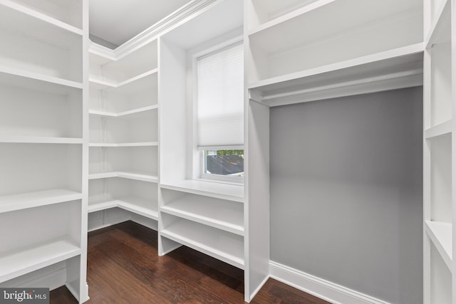 walk in closet featuring hardwood / wood-style floors