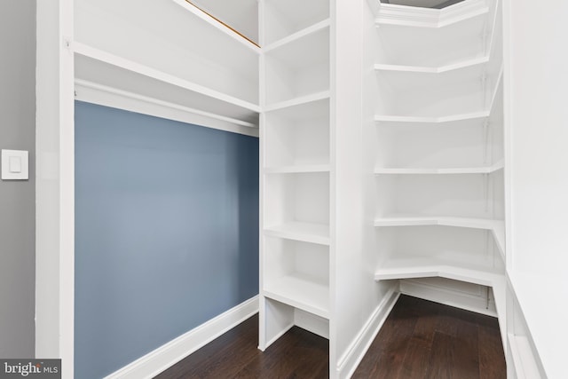 spacious closet featuring hardwood / wood-style flooring