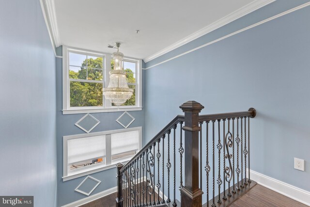 staircase featuring hardwood / wood-style floors and ornamental molding