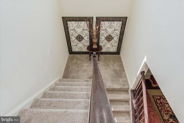 staircase featuring carpet