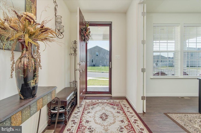 foyer with dark wood-type flooring