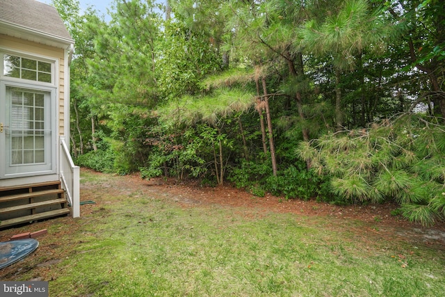 view of yard featuring entry steps