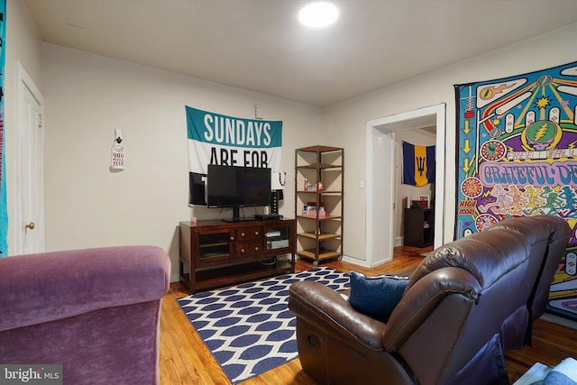 living room featuring hardwood / wood-style floors