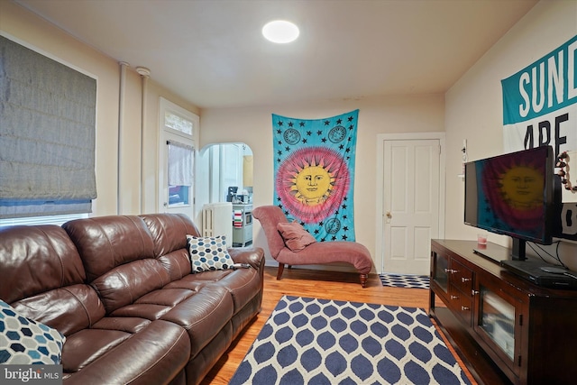 living room with hardwood / wood-style floors