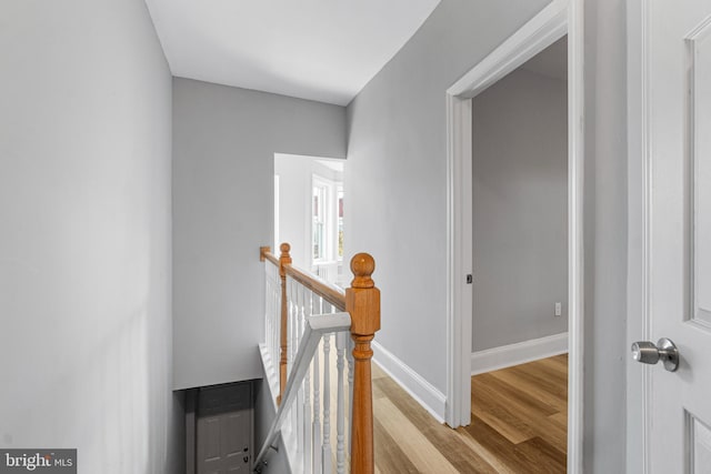 stairs featuring wood-type flooring