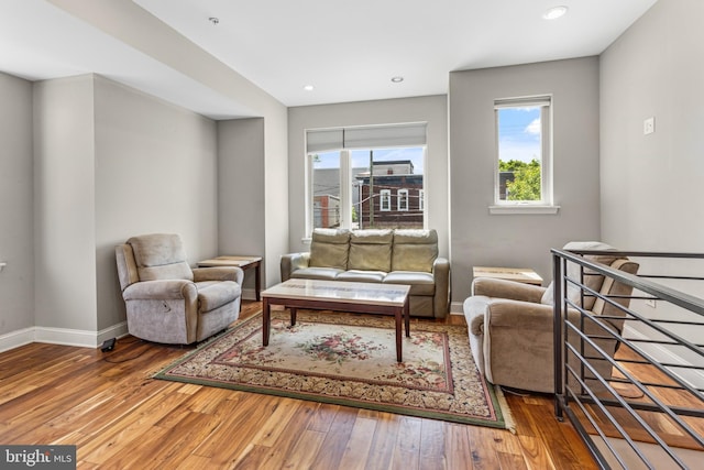 living room with hardwood / wood-style floors