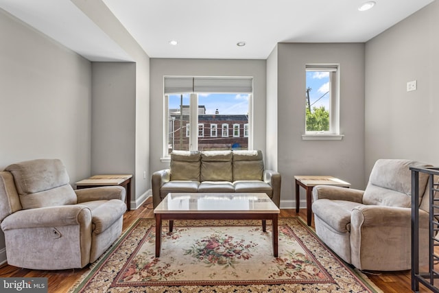 living room featuring hardwood / wood-style flooring