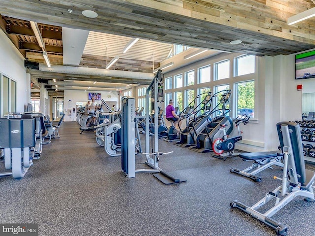 exercise room with a towering ceiling