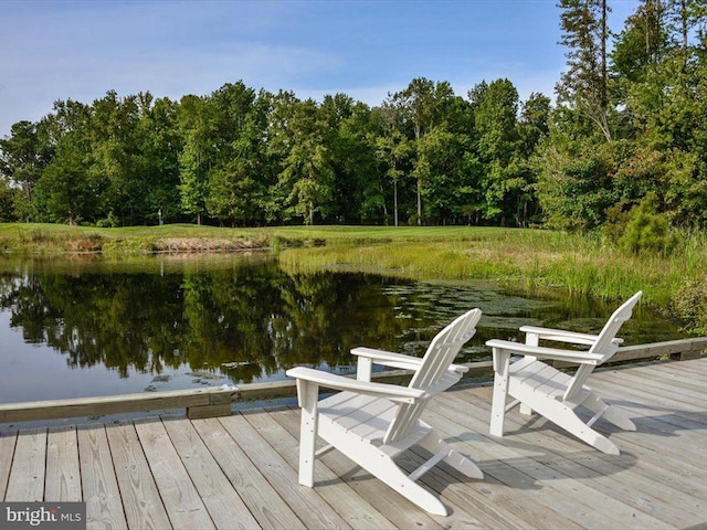 dock area featuring a water view