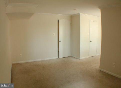 carpeted empty room featuring crown molding