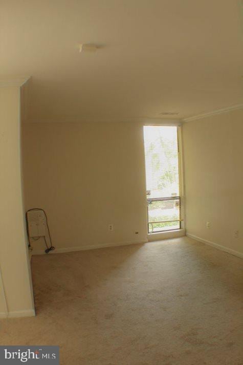 carpeted empty room featuring crown molding