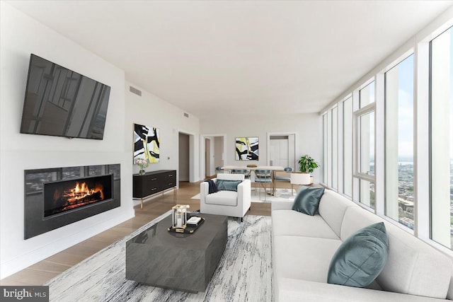 living room featuring wood-type flooring