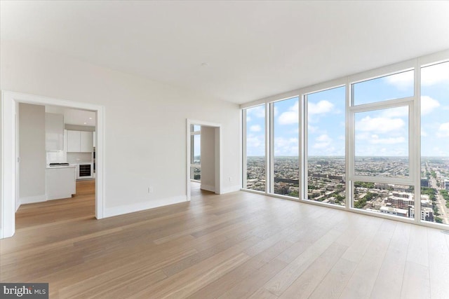 empty room featuring expansive windows and light hardwood / wood-style floors