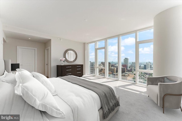 carpeted bedroom with a wall of windows and multiple windows