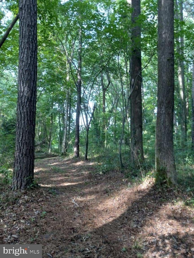 view of landscape