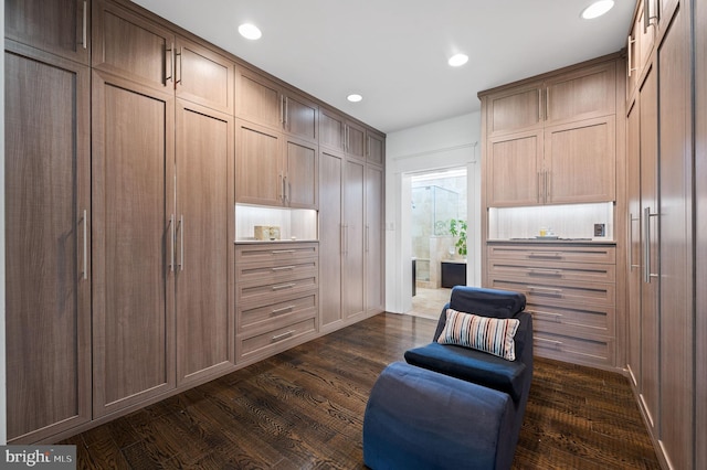 living area with dark hardwood / wood-style floors