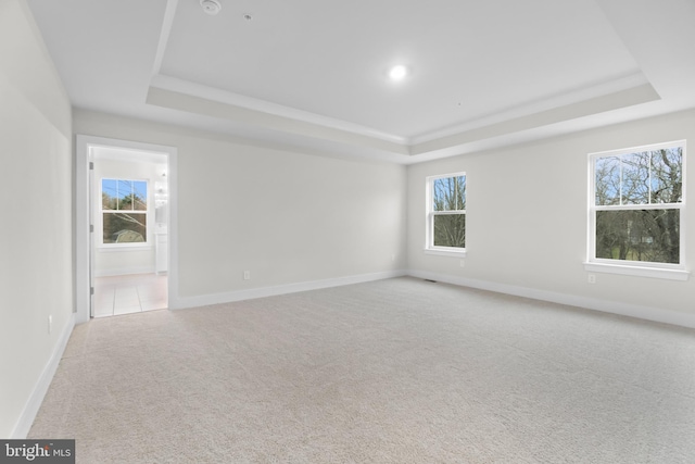 empty room featuring a raised ceiling and light colored carpet