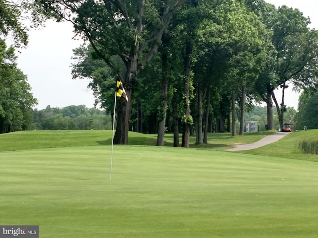 view of community featuring a yard