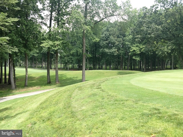 view of home's community with a yard