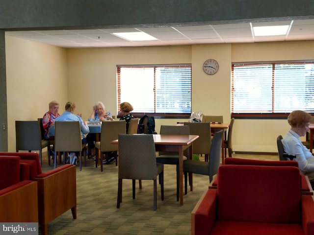 carpeted dining room featuring a paneled ceiling and plenty of natural light