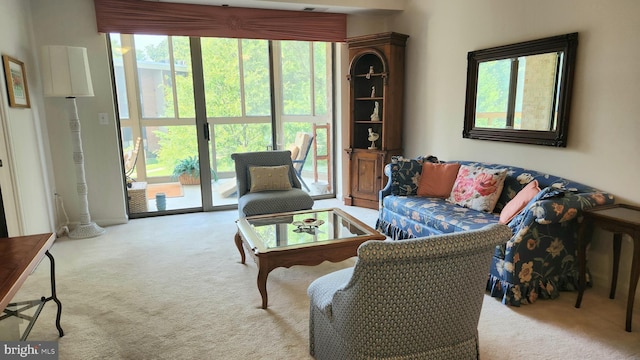 living room with light carpet