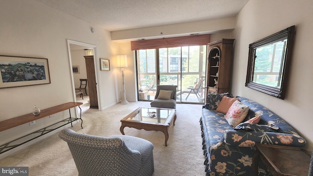 living room featuring light colored carpet and a textured ceiling