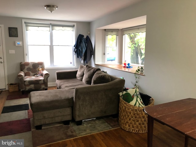 living room with dark hardwood / wood-style flooring