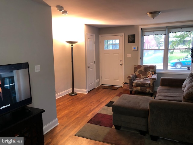 living room featuring light hardwood / wood-style flooring