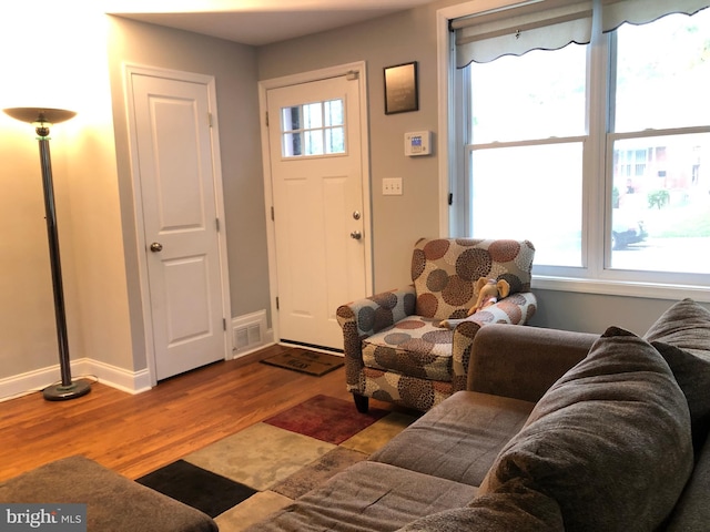 living room featuring hardwood / wood-style flooring