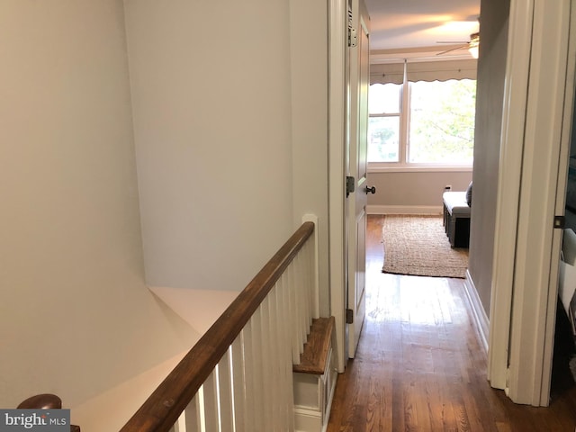 corridor with dark wood-type flooring