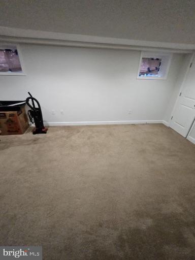 basement with carpet flooring