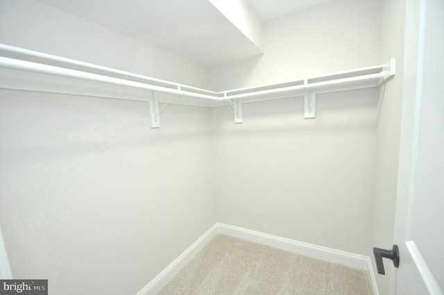 spacious closet with carpet flooring