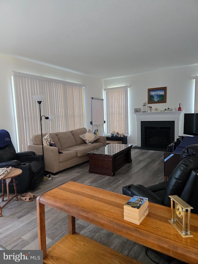 living room featuring a fireplace and wood finished floors